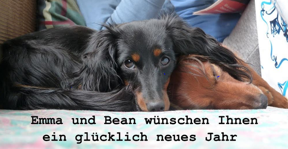 Liebe Grüße haben wir auch von Emma aus dem E-Wurf erhalten: Vielen Dank für Ihre Karte. Mit freundlichen Grüßen, Eef van lienen, Serge, Emma und Bean Liebe Grüße haben wir auch von Emma aus dem E-Wurf erhalten: Vielen Dank für Ihre Karte. Mit freundlichen Grüßen, Eef van lienen, Serge, Emma und Bean